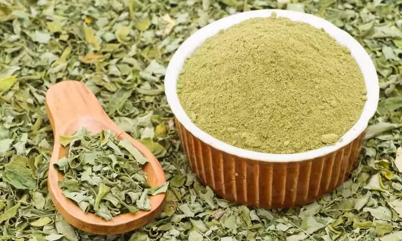 Moringa Ole￭fera: El "￁rbol de la Vida" y sus M￺ltiples Beneficios