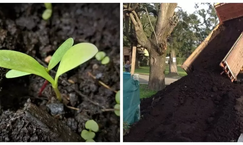 La Tierra Negra: El Secreto para un Jardín Vibrante y Saludable