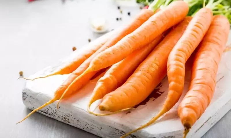Zanahorias: Un Tesoro Nutricional y sus Múltiples Beneficios para la Salud