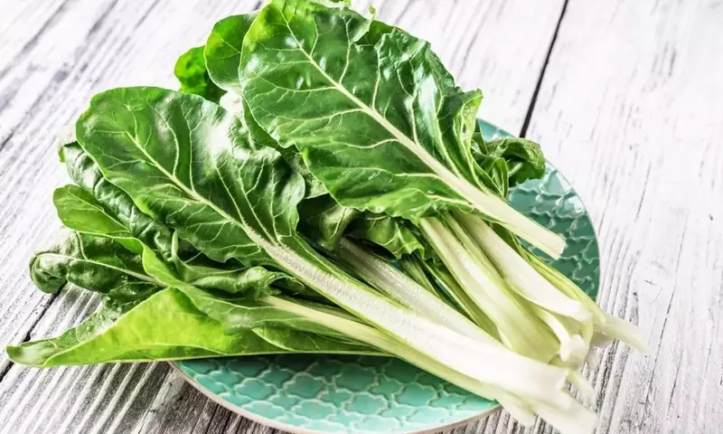 Acelga: Nutrición y Salud