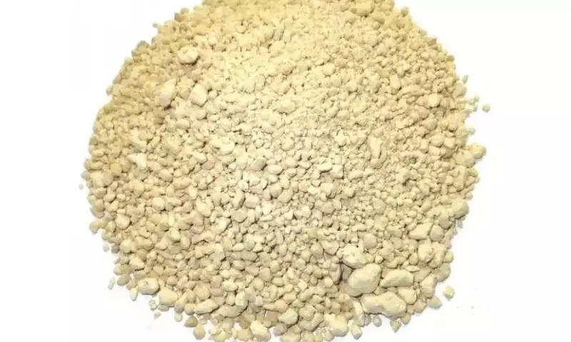 Kanuma: El Sustrato Ideal para Bonsáis Acidófilos