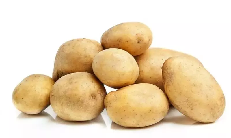 La Patata Agria: Versatilidad y Características Culinarias