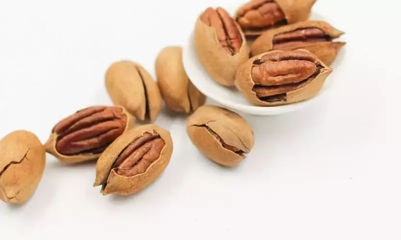Descubriendo el Misterio de la Nuez Pecana: Un Fruto con Historia y Múltiples Aplicaciones