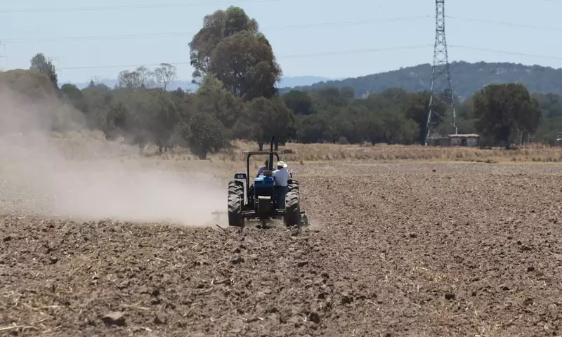Inicia Programa de Apoyo con Fertilizantes Gratuitos para Productores Agrícolas