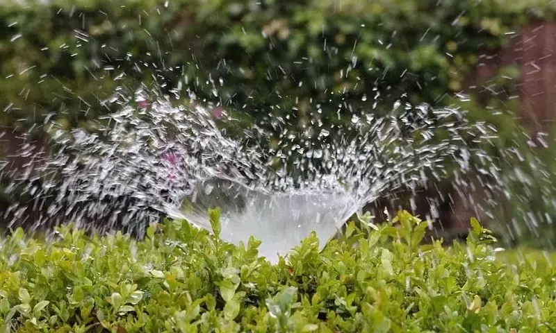 Optimización del Riego: Guía Completa para Sistemas Automáticos en Jardinería