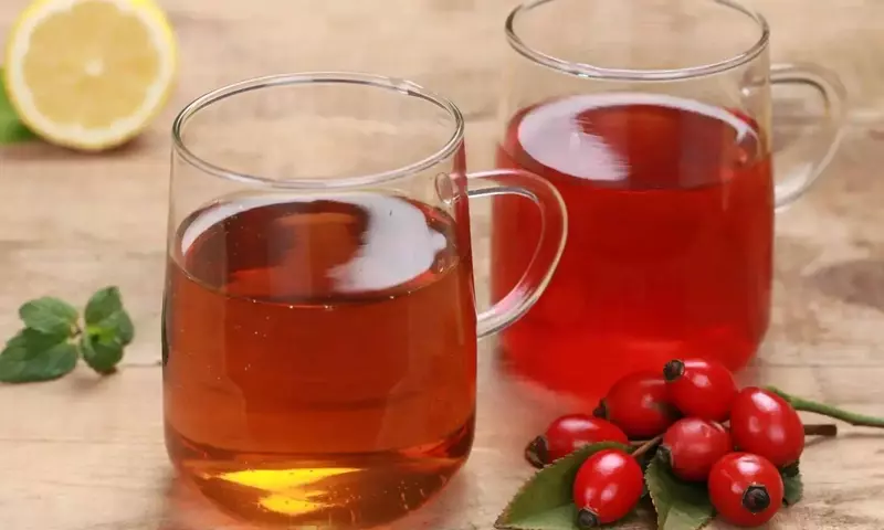 Rosa Canina: La Joya Nutricional de la Naturaleza