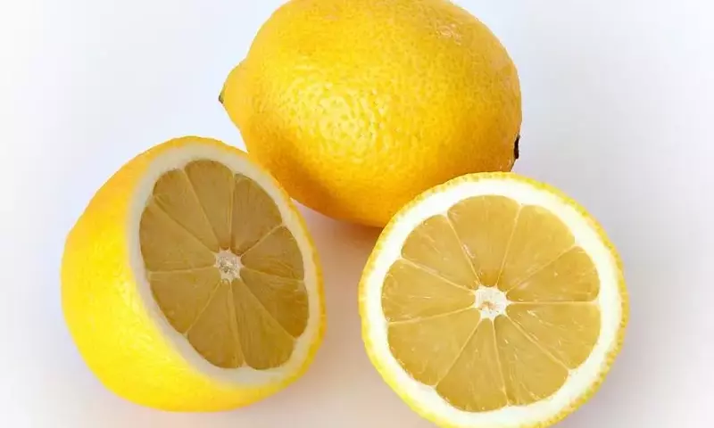 Guía Definitiva para Seleccionar Árboles Frutales Perennes para su Jardín