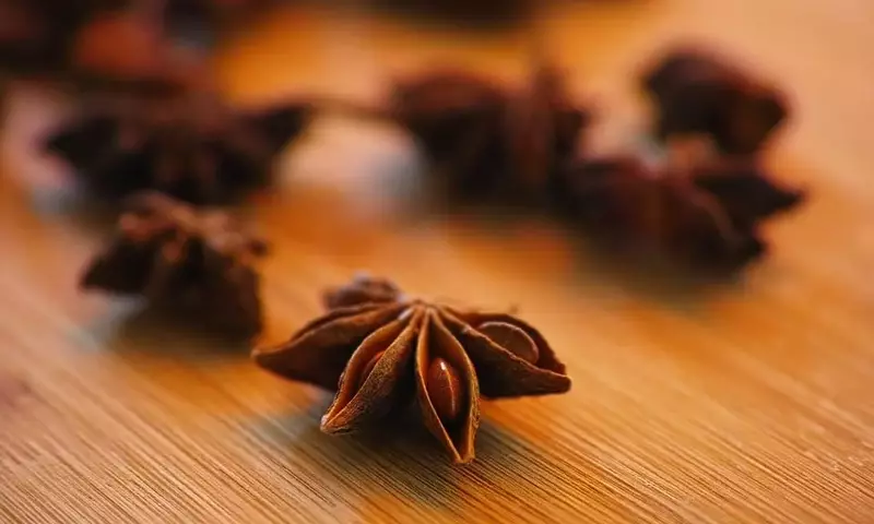 Anís: Semillas con Historia, Sabor y Virtudes