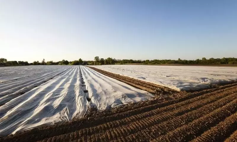 Solarización del Suelo: Un Método Ecológico para Revitalizar la Tierra