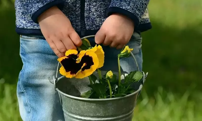 La Siembra y el Cuidado de Plantas: Una Aventura Educativa para Niños