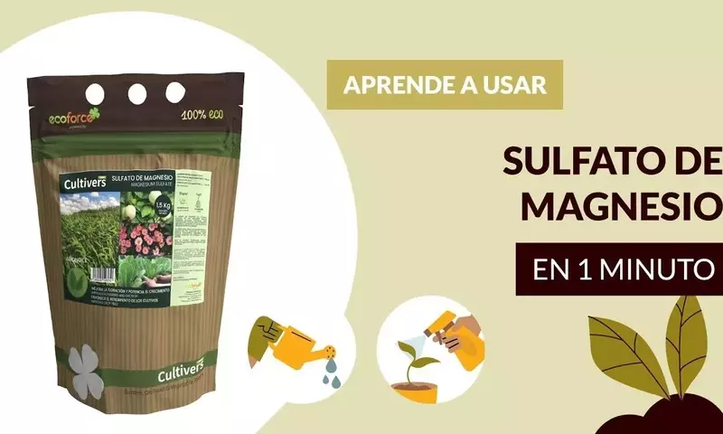 Optimización del Crecimiento Vegetal: El Poder del Sulfato de Magnesio en la Agricultura Moderna