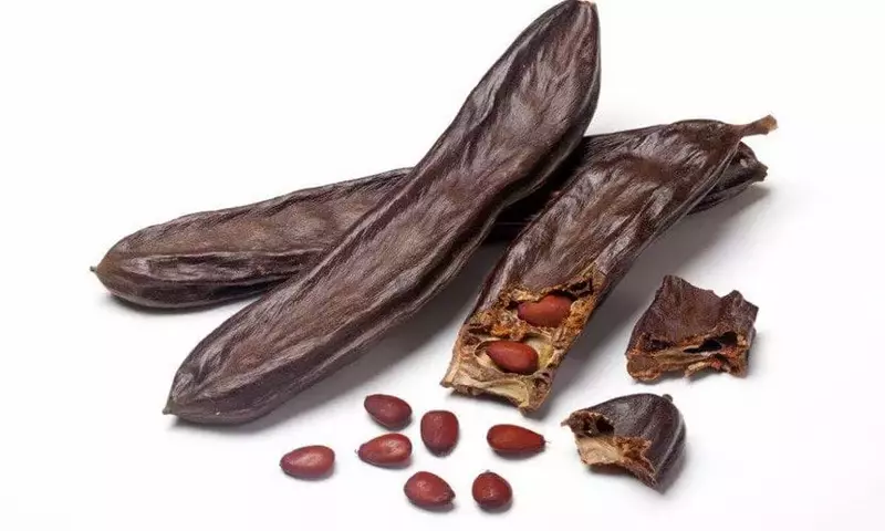 Diversidad del Algarrobo: Un Análisis Exhaustivo de Sus Variedades y Características