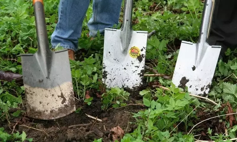 Guía Esencial para el Cuidado del Jardín: Técnicas y Consejos Prácticos