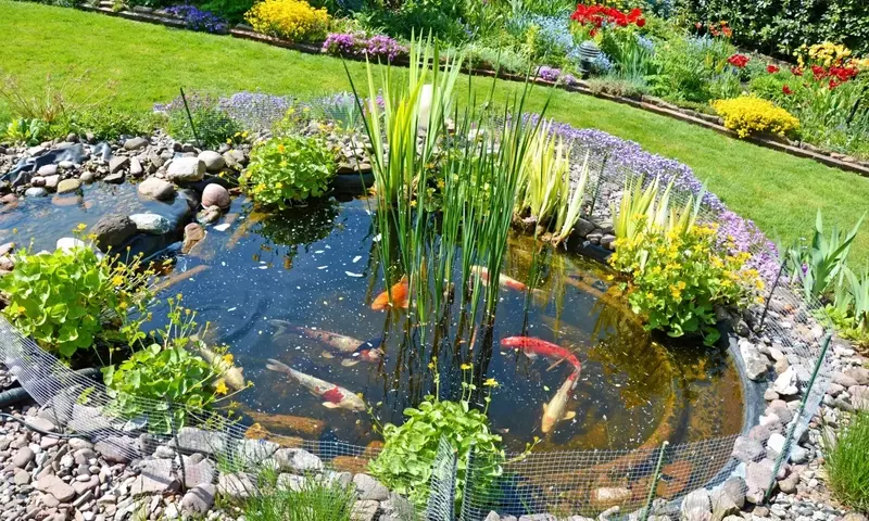 Creación y Mantenimiento de Estanques de Jardín: Guía Completa