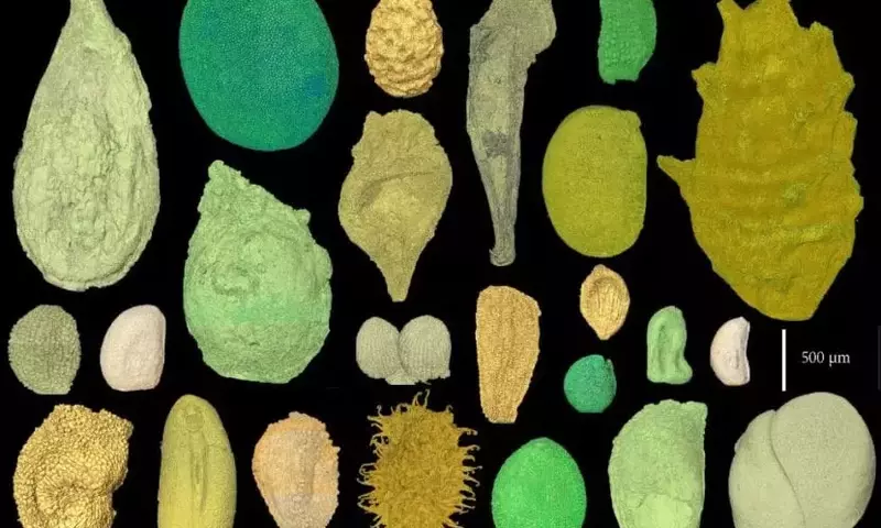 El Asombroso Hallazgo de Semillas Fosilizadas de 130 Millones de Años