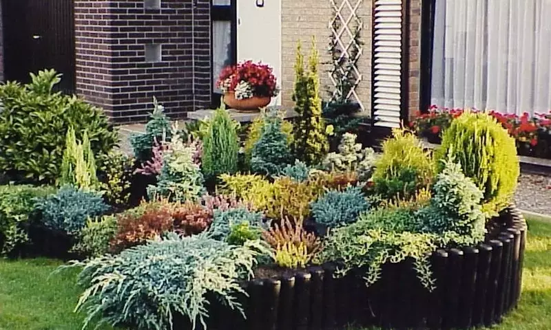 Creando un Jardín de Rocas Exuberante: Guía Completa para el Diseño y Cuidado