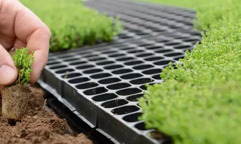 La Guía Definitiva para Elegir el Sustrato Perfecto para tus Plantas