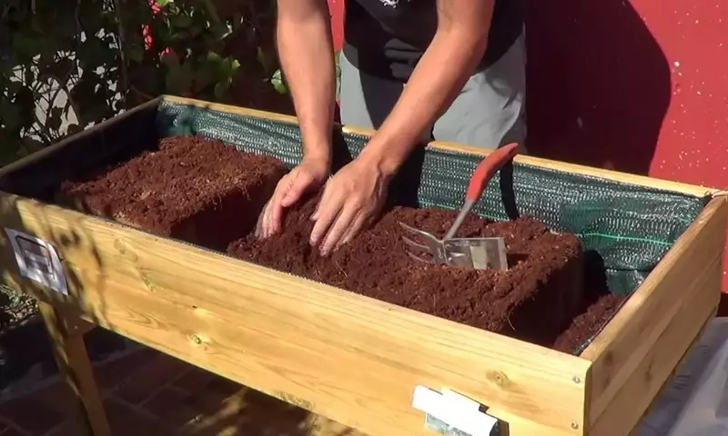 Cultivo en Casa: Guía Completa de Mesas de Cultivo para Huertos Urbanos