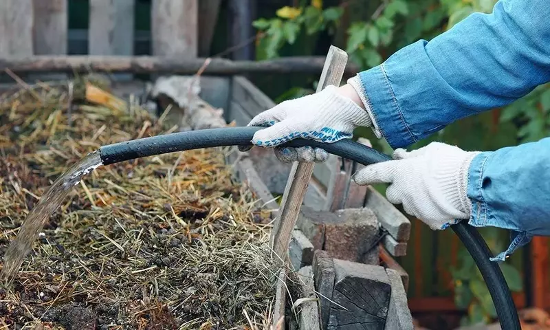 Guía Completa para el Uso de Estiércol en la Jardinería: Tipos, Beneficios y Aplicación Sostenible