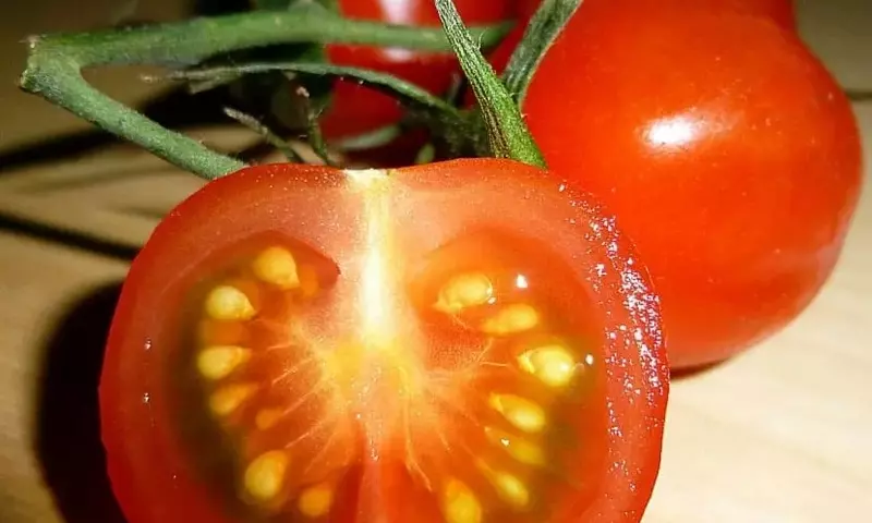 Cultivo de Verduras en Interiores: Una Guía Esencial