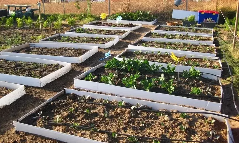 Maximice su Jardín: Guía Completa para la Creación de Camas Elevadas