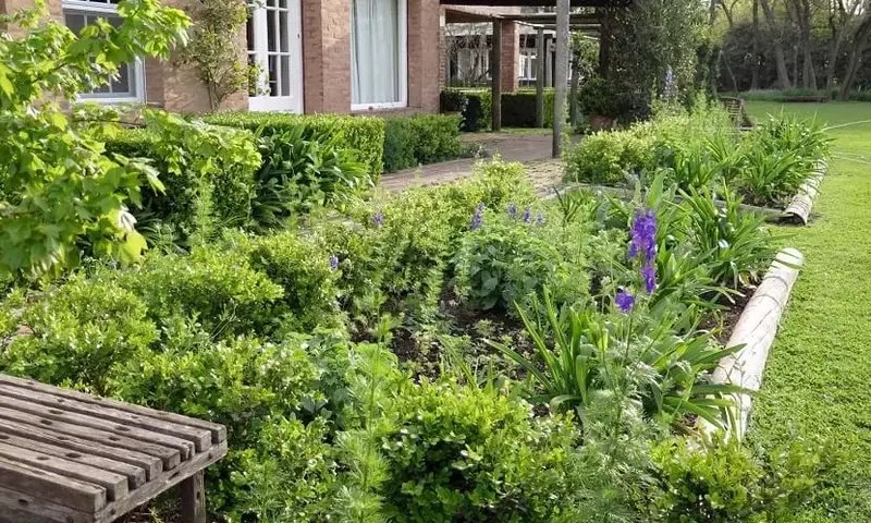 La Primavera en tu Jardín: Ventajas y Desafíos de la Estación del Renacer