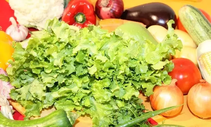 Un Festín Invernal: Descubre las Verduras Esenciales para Tu Salud en la Temporada Fría