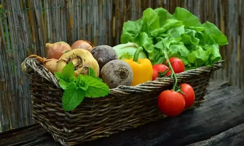 Verduras de Temporada: Nutrición y Sabor a lo Largo del Año