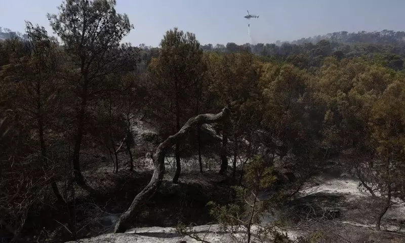 Tormentas Secas Azotan España: Impacto y Consecuencias Devastadoras