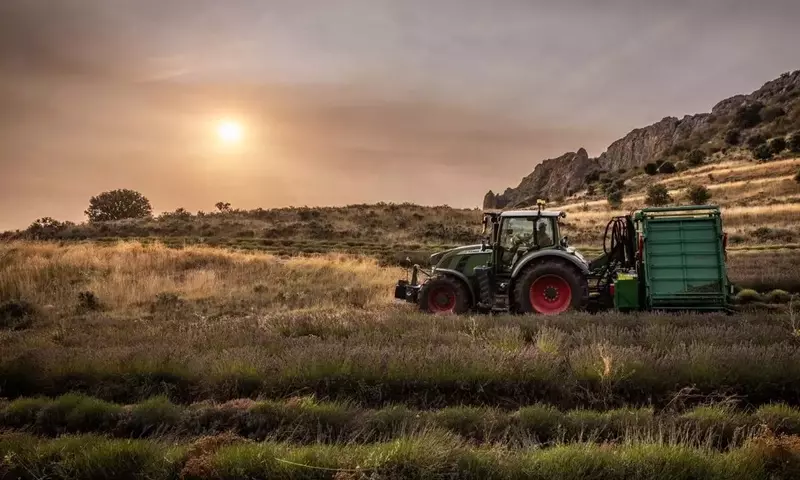 La Lavanda: Un Pilar en el Desarrollo Económico y Turístico Regional