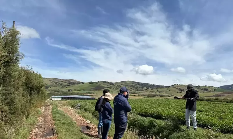 Suspensión de Cultivo de Rosas en Páramo de Zipaquirá por Impacto Ambiental