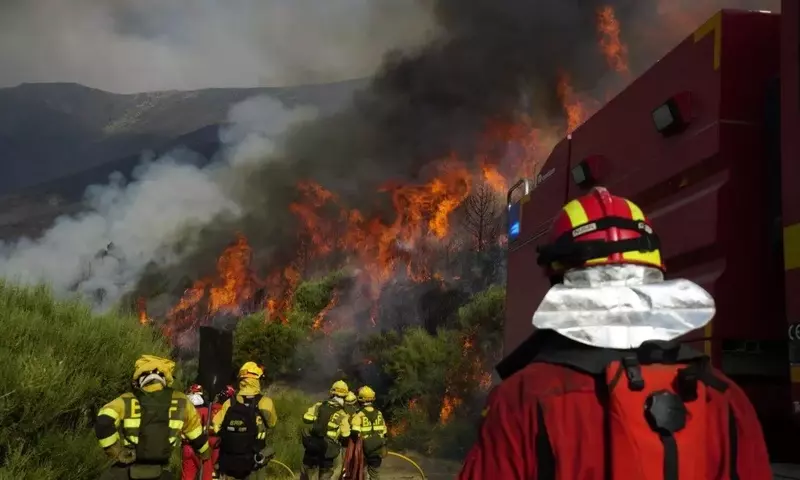 Incendio de Jarilla: La Resistencia de los Cerezos y la Lucha Contra el Fuego