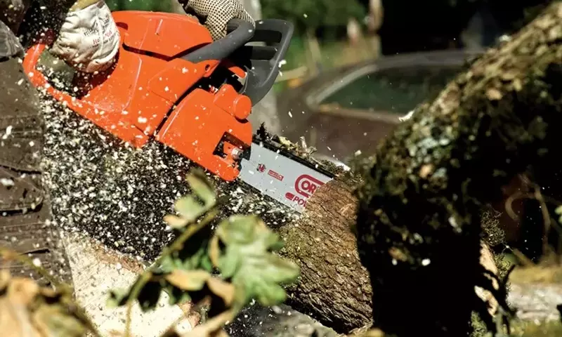 Innovación y Sostenibilidad en la Manufactura Forestal: El Caso de Oregon Tool