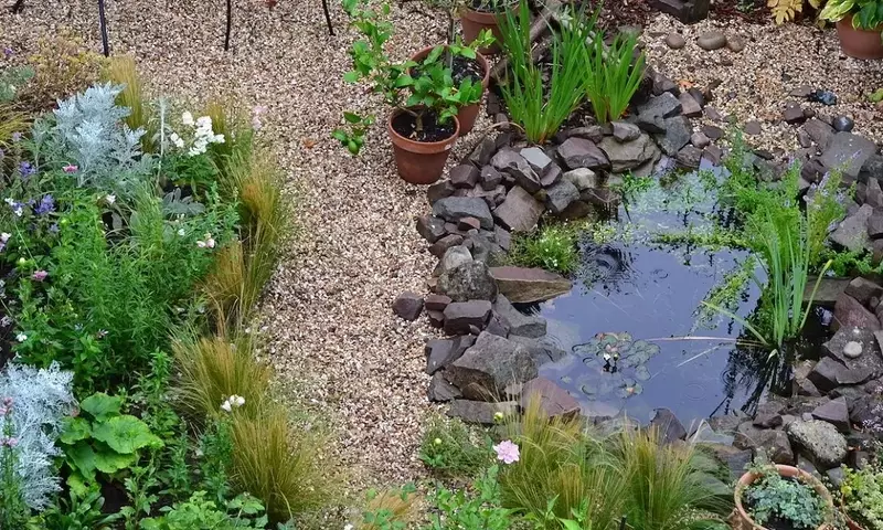 Optimización del Riego en Jardines: La Balsa de Riego como Solución Sostenible