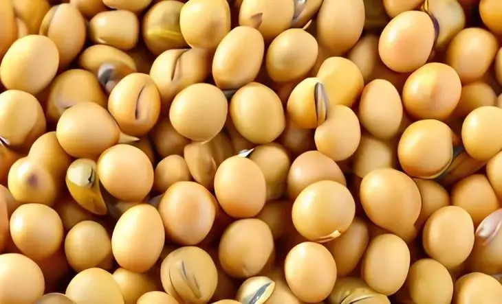 China redirige su importación de soja: de Estados Unidos a Brasil