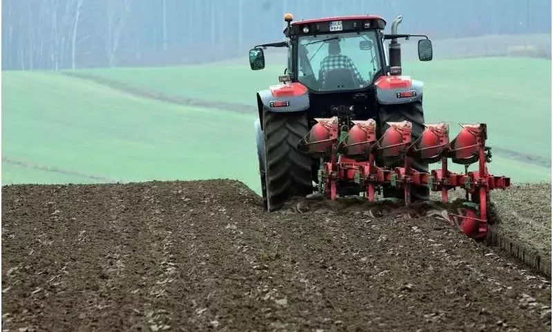 Revolucionando la Agricultura: Sensores de Bajo Costo para una Gestión de Fertilizantes Sostenible