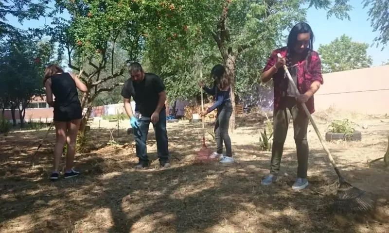 Impulso a los Huertos Escolares: Educación, Inclusión y Conexión Comunitaria