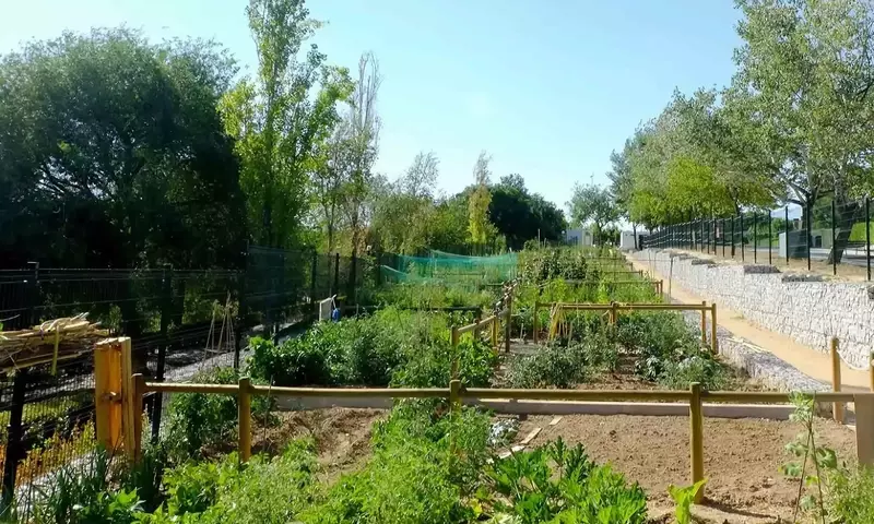 Alcobendas Expande Su Iniciativa de Huertos Urbanos con 276 Nuevas Parcelas