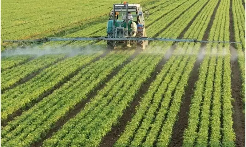 Transformación Global en la Agricultura: El Tamaño Promedio de las Explotaciones se Triplicará para 2100