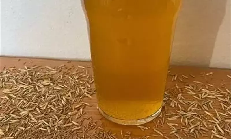Cerveza Sostenible: El Caso Revolucionario de Kernza en la Agricultura