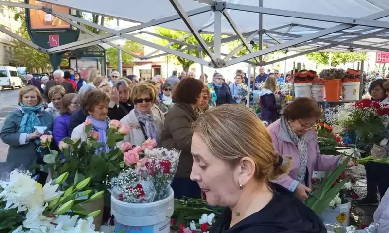 Flores para el Día de Todos los Santos: Tradición, Significado y Consejos para Honrar a los Difuntos