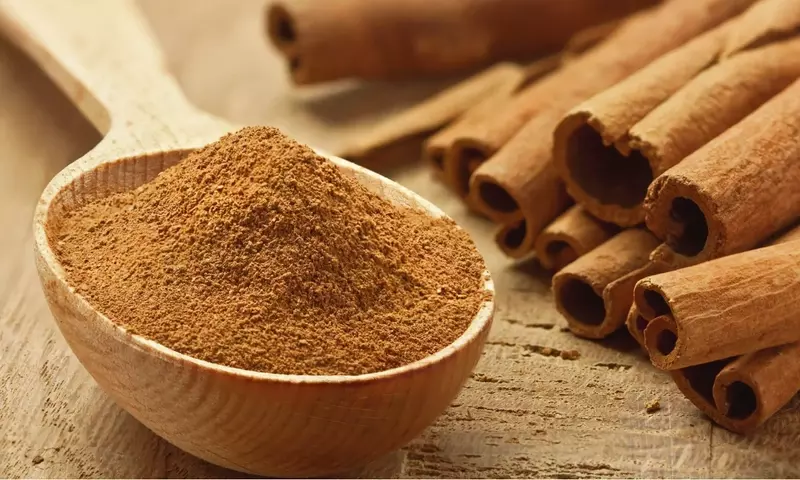 Soluciones Ecológicas: Protegiendo Semilleros con Leche, Canela y Otros Remedios Naturales