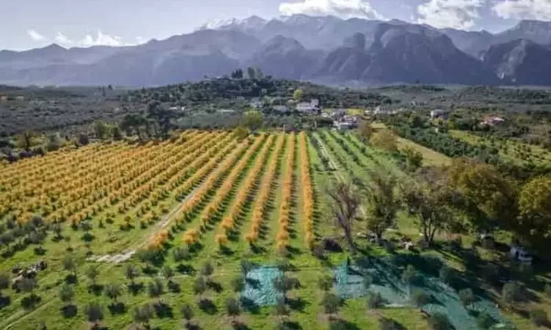Revolución Agrícola: La simbiosis entre microbiología, tecnología avanzada y sustentabilidad para suelos productivos