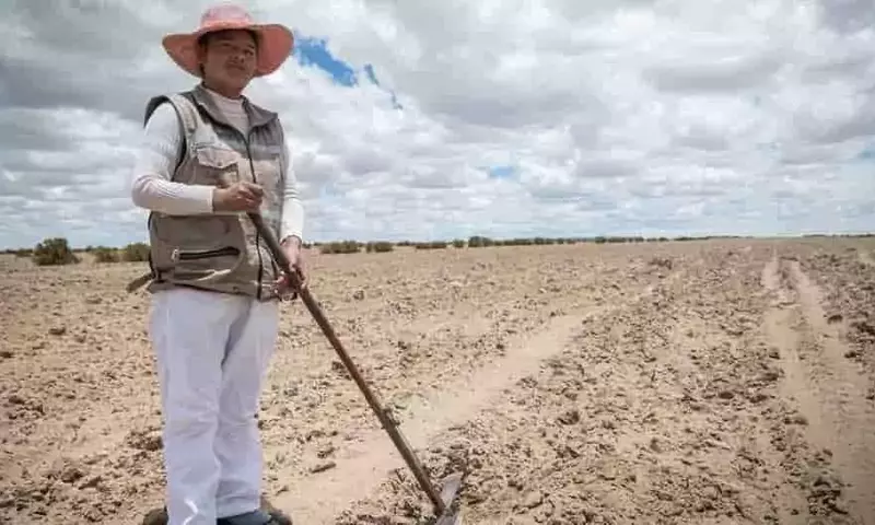 La Deterioración del Suelo Amenaza la Seguridad Alimentaria Global, Advierte la FAO