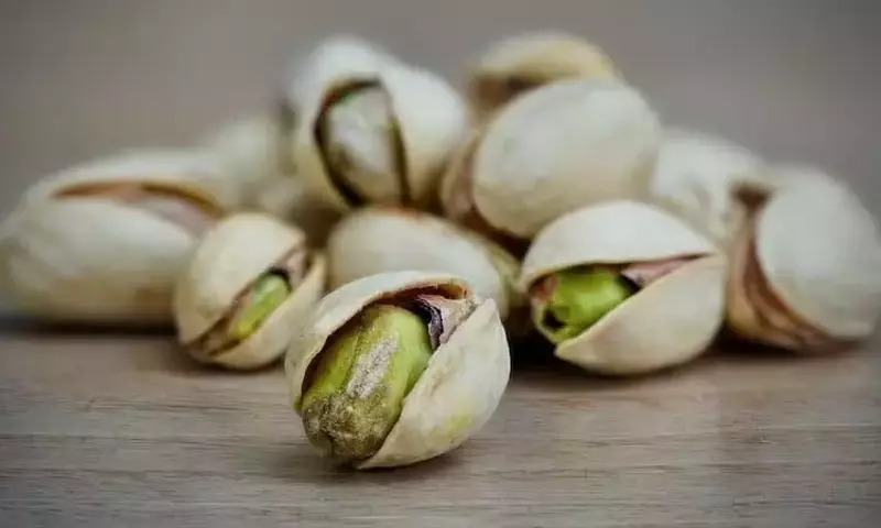 Guía Completa para Cultivar tu Propio Pistacho: Desde la Siembra hasta la Cosecha