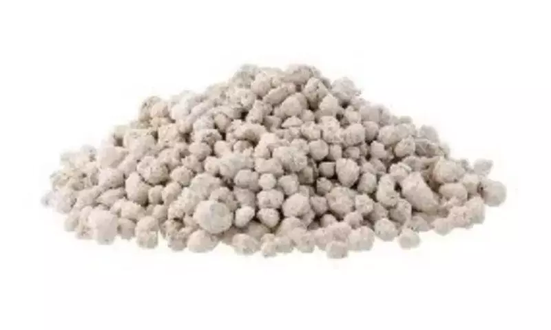 Fertilizantes: Un Análisis Detallado de Opciones Orgánicas, Minerales y Combinadas para la Salud del Suelo