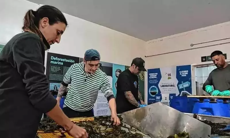 Argentina Lidera la Innovación Marina con la Primera Cosecha de Macroalgas en la Patagonia