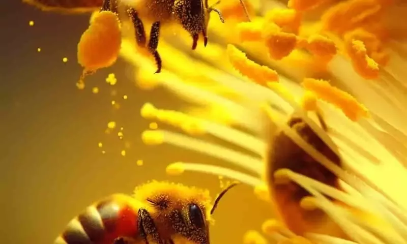 Las Abejas: Centinelas Urbanas de la Calidad Ambiental
