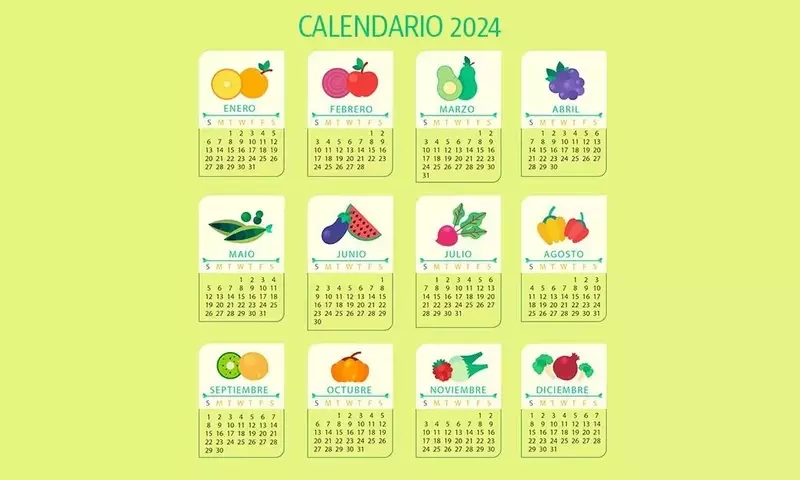Guía Definitiva del Calendario Agrícola Estacional y Lunar para una Huerta Productiva