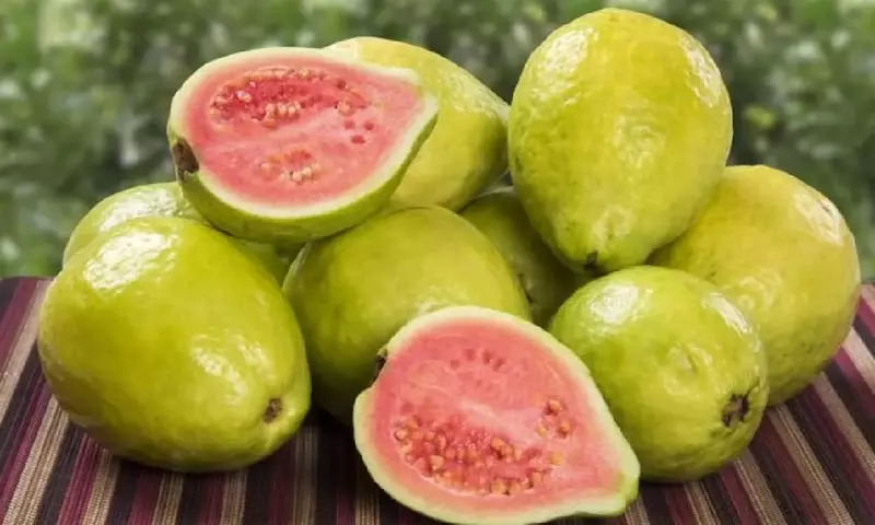 Guayaba: Un Tesoro Tropical de Vitamina C y Tradición Culinaria